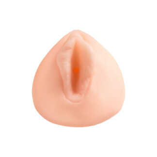 Het perfecte poesje